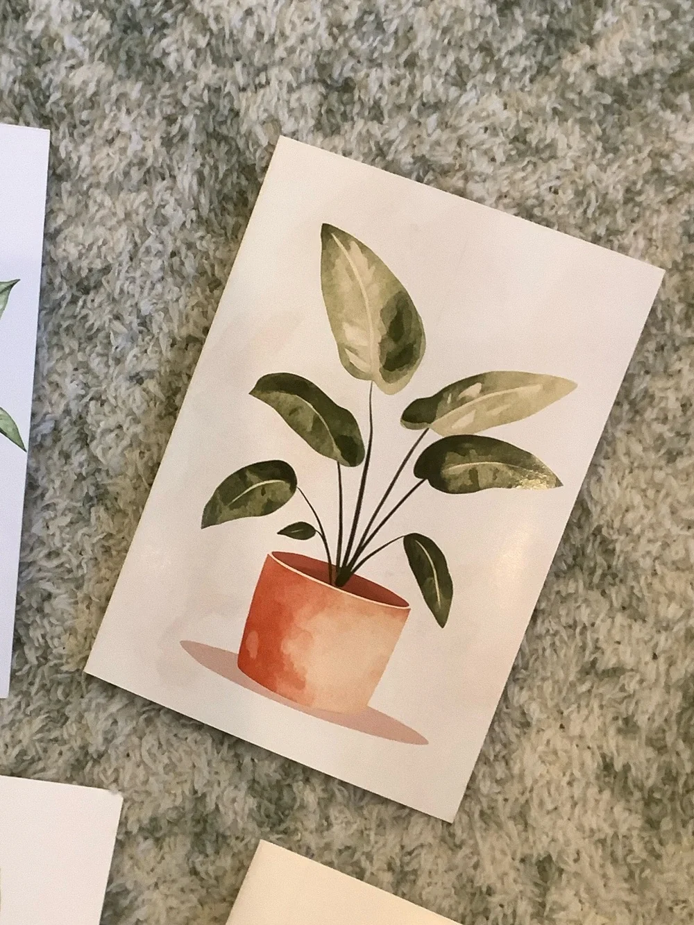 Potted Tropical Plants Note Cards Variety Pack Set of 6 Blank inside NWT HC